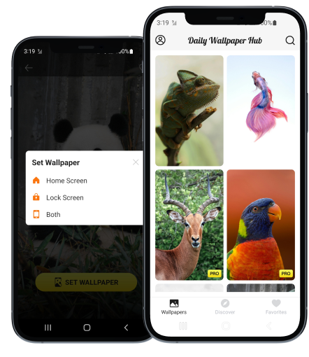 app image